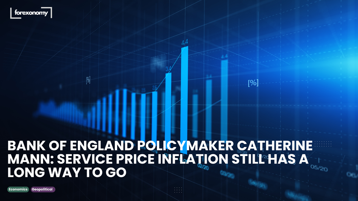 BANK OF ENGLAND POLICYMAKER CATHERINE MANN: SERVICE PRICE INFLATION STILL HAS A LONG WAY TO GO