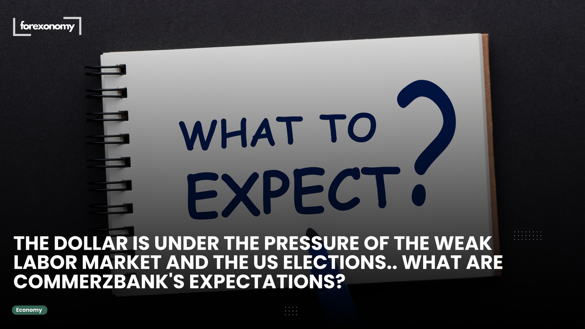 THE DOLLAR IS UNDER THE PRESSURE OF THE WEAK LABOR MARKET AND THE US ELECTIONS.. WHAT ARE COMMERZBANK'S EXPECTATIONS?