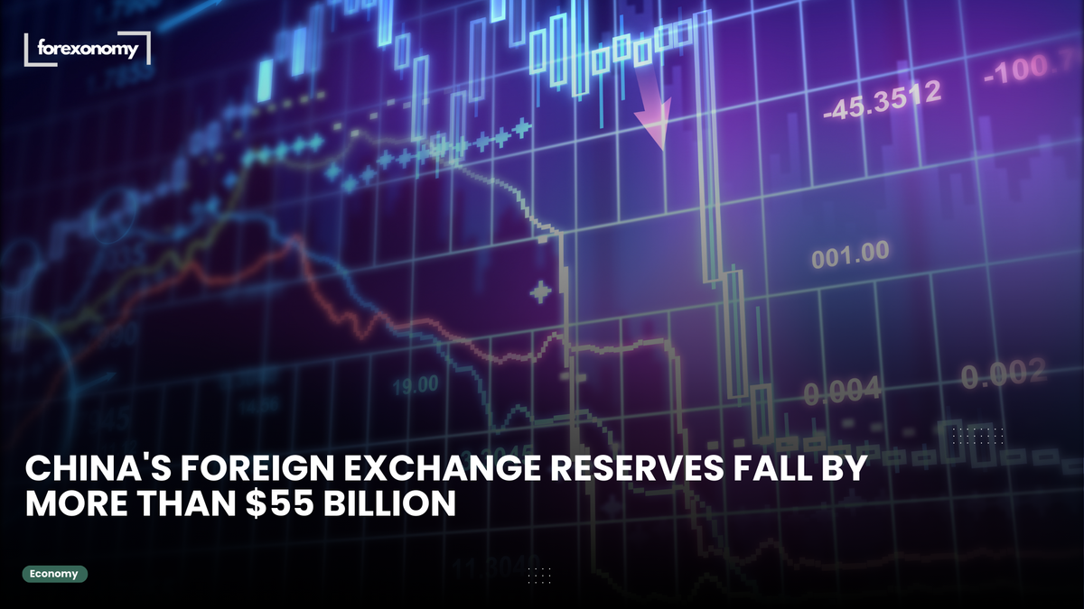 CHINA'S FOREIGN EXCHANGE RESERVES FALL BY MORE THAN $55 BILLION