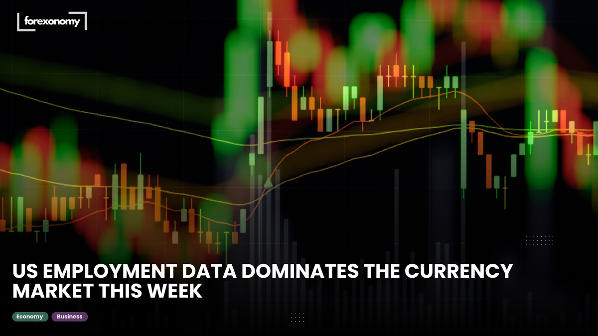 US EMPLOYMENT DATA DOMINATES THE CURRENCY MARKET THIS WEEK