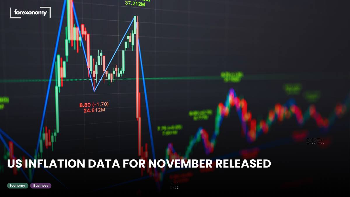 US INFLATION DATA FOR NOVEMBER RELEASED