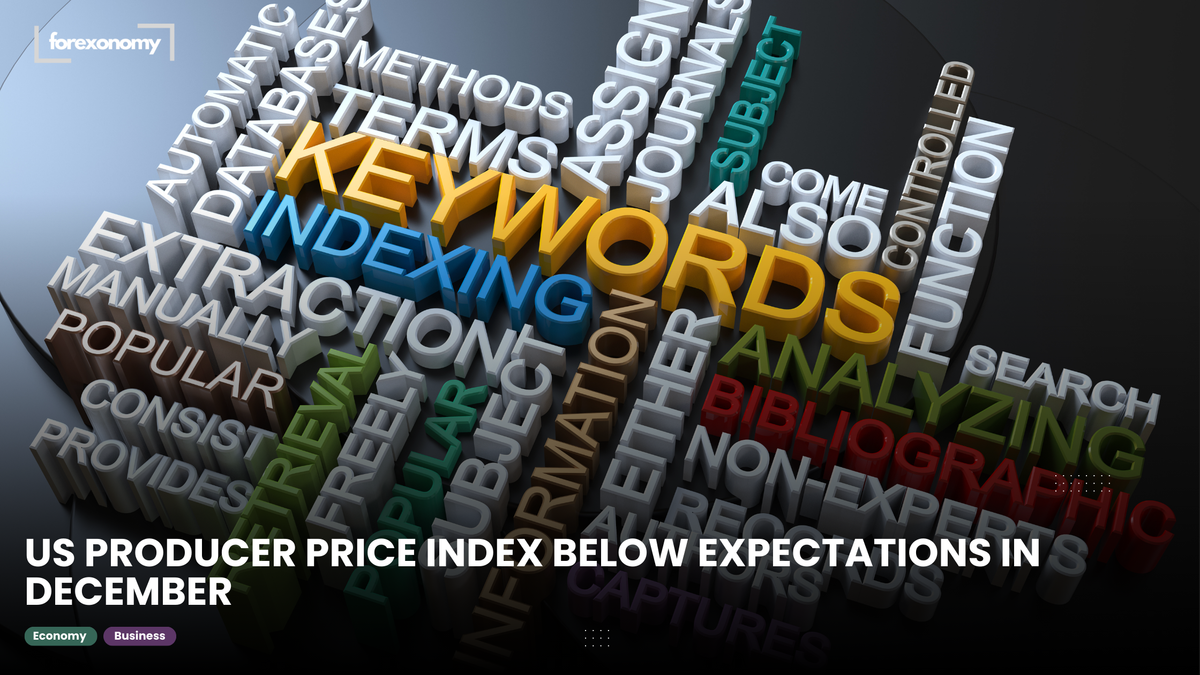 US PRODUCER PRICE INDEX BELOW EXPECTATIONS IN DECEMBER