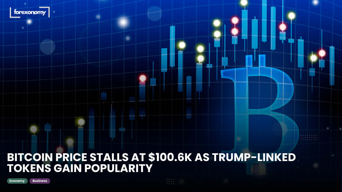 BITCOIN PRICE STALLS AT $100.6K AS TRUMP-LINKED TOKENS GAIN POPULARITY