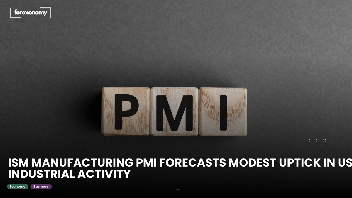 ISM MANUFACTURING PMI FORECASTS MODEST UPTICK IN US INDUSTRIAL ACTIVITY