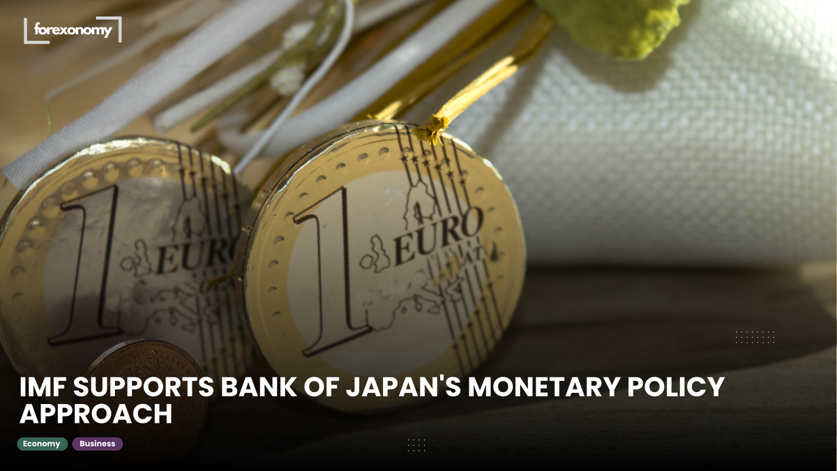 IMF SUPPORTS BANK OF JAPAN'S MONETARY POLICY APPROACH