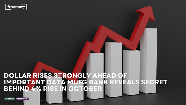 DOLLAR RISES STRONGLY AHEAD OF IMPORTANT DATA MUFG BANK REVEALS SECRET BEHIND 4% RISE IN OCTOBER