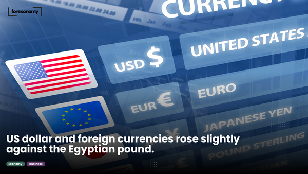 US dollar and foreign currencies rose slightly against the Egyptian pound.