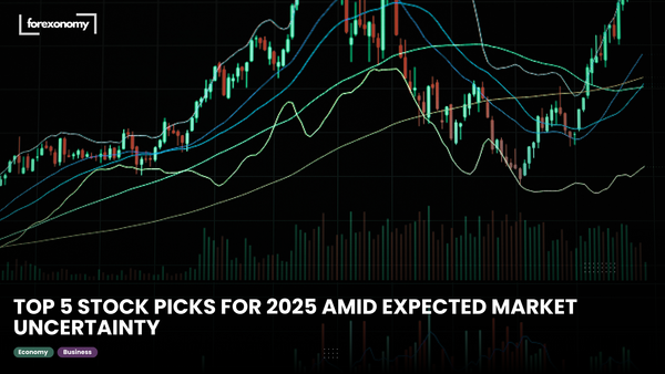 TOP 5 STOCK PICKS FOR 2025 AMID EXPECTED MARKET UNCERTAINTY